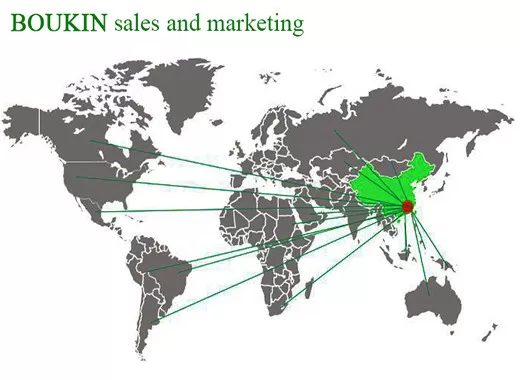 China Boukin Technology Co.,Ltd company profile