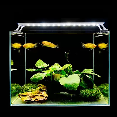 BK-AL17-60(48) Newly upgraded 5730 chip long life and high brightness simple stretch aquarium light